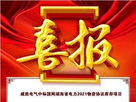 威胜电气中标国网湖南省电力2021物资协议库存项目